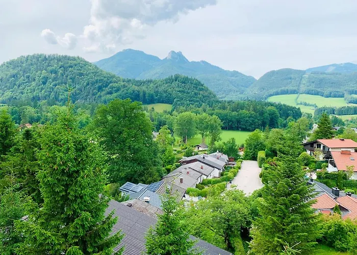 Buchenblick