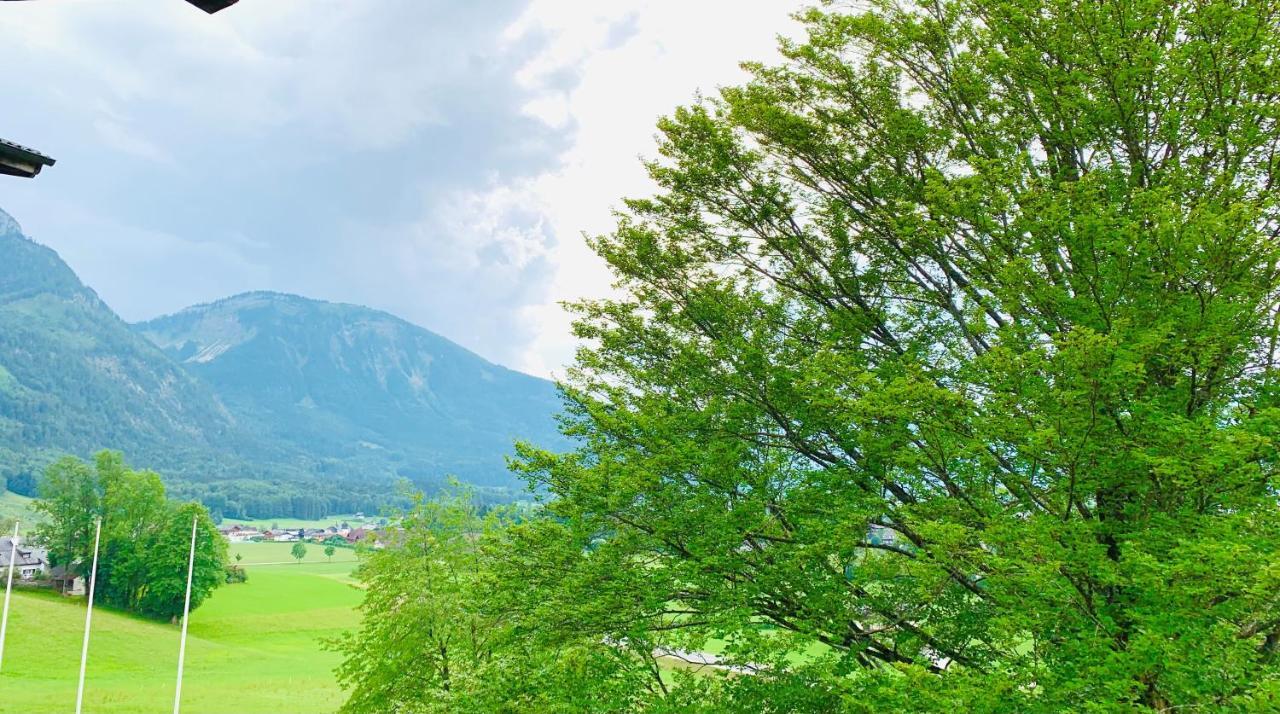 Buchenblick Strobl