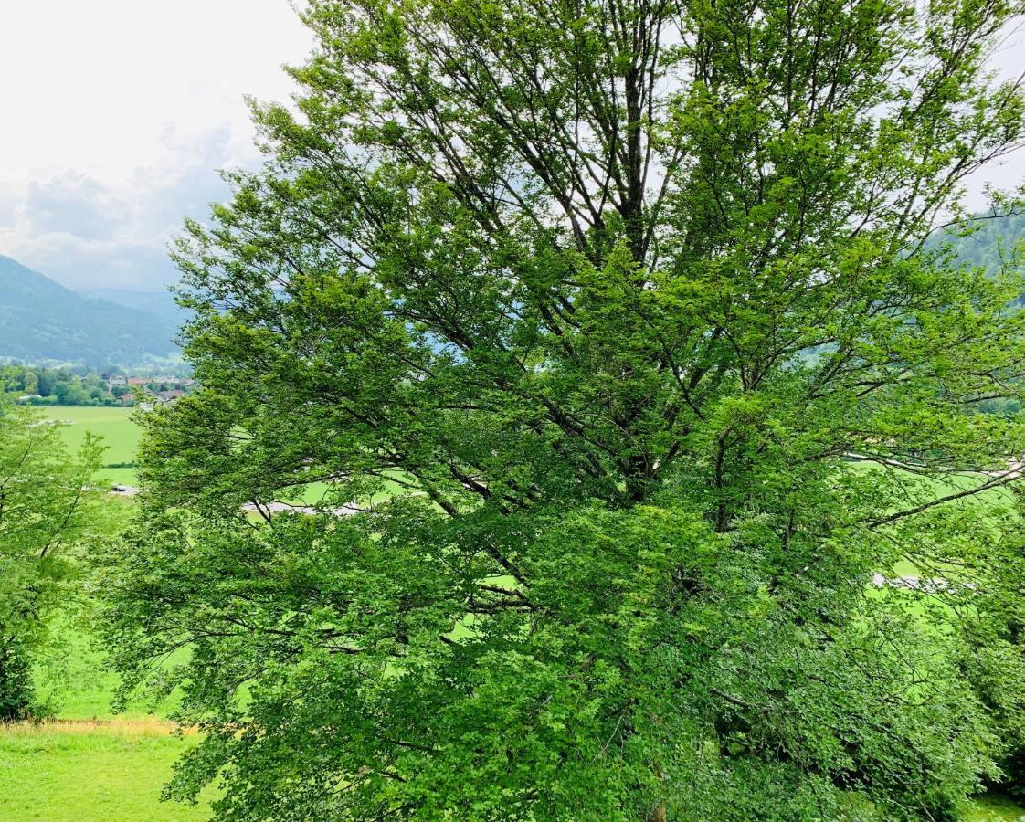 Buchenblick Strobl
